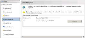 Report Manager URL